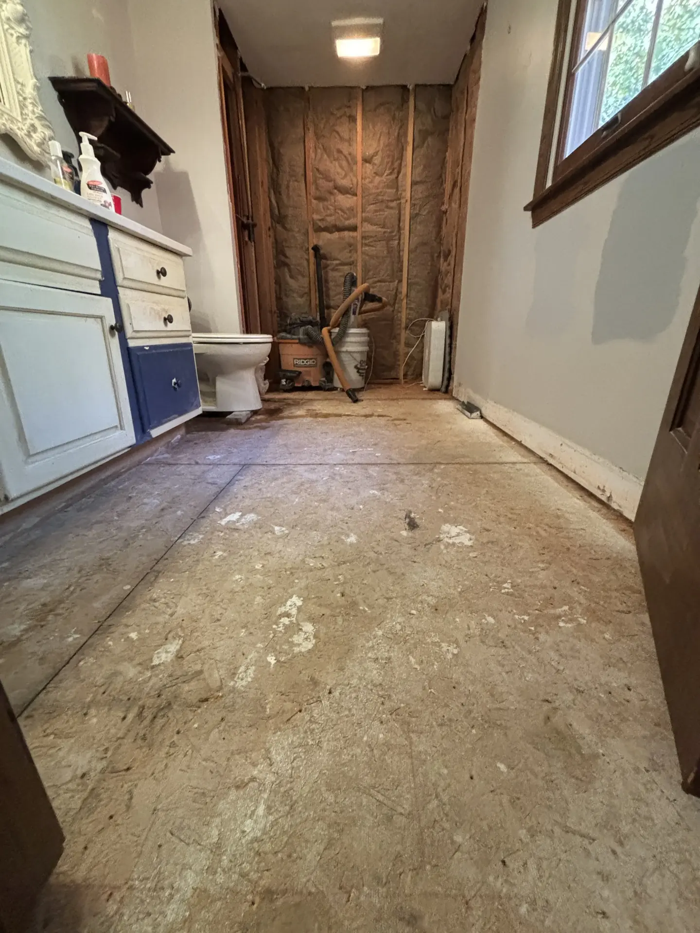 Original bathroom before renovation